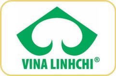 vina-linhchi